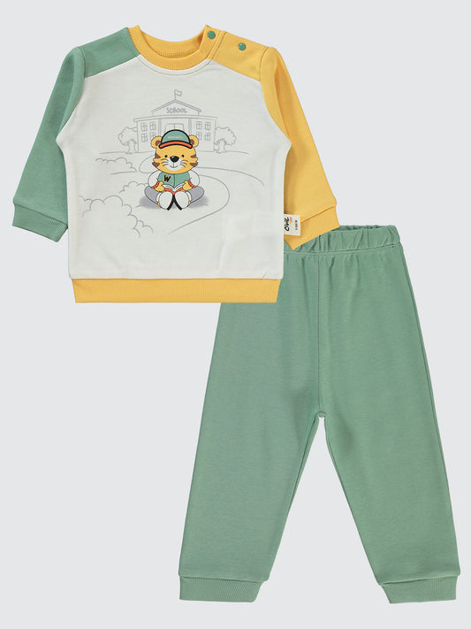 Multicolor Tiger Fall Set