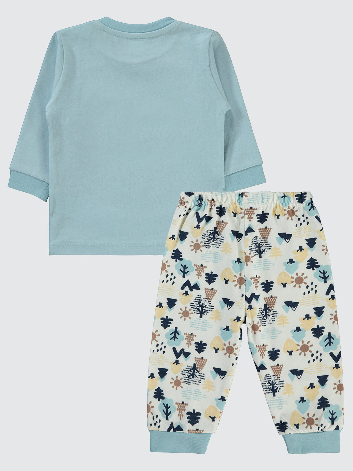 Blue Lion King Fall Set