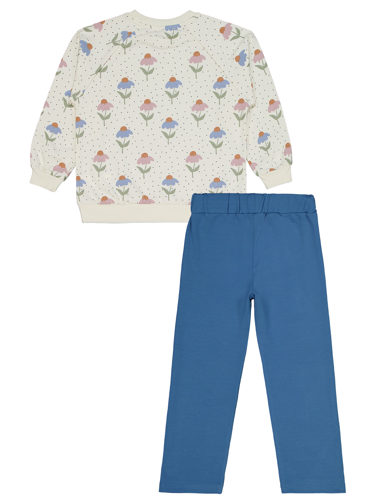 Blue Tulips Set