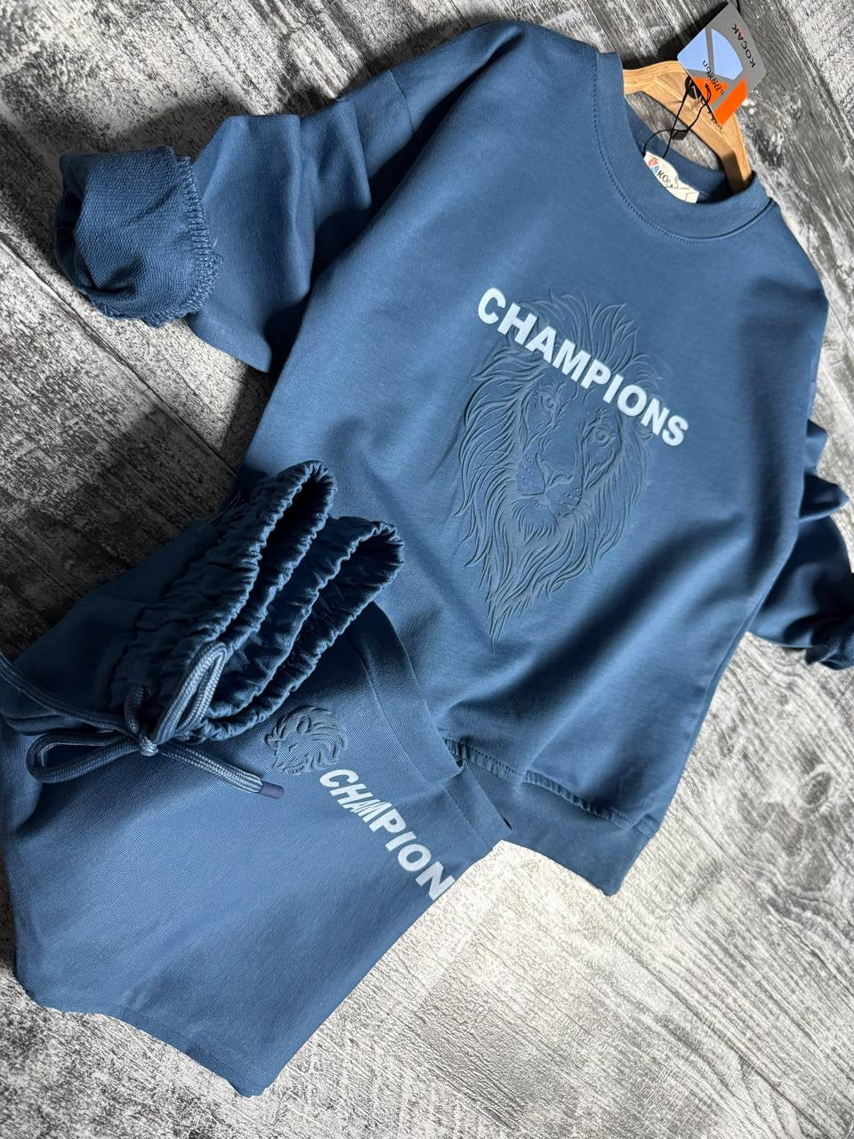 Champions Lion Basic Blue Set