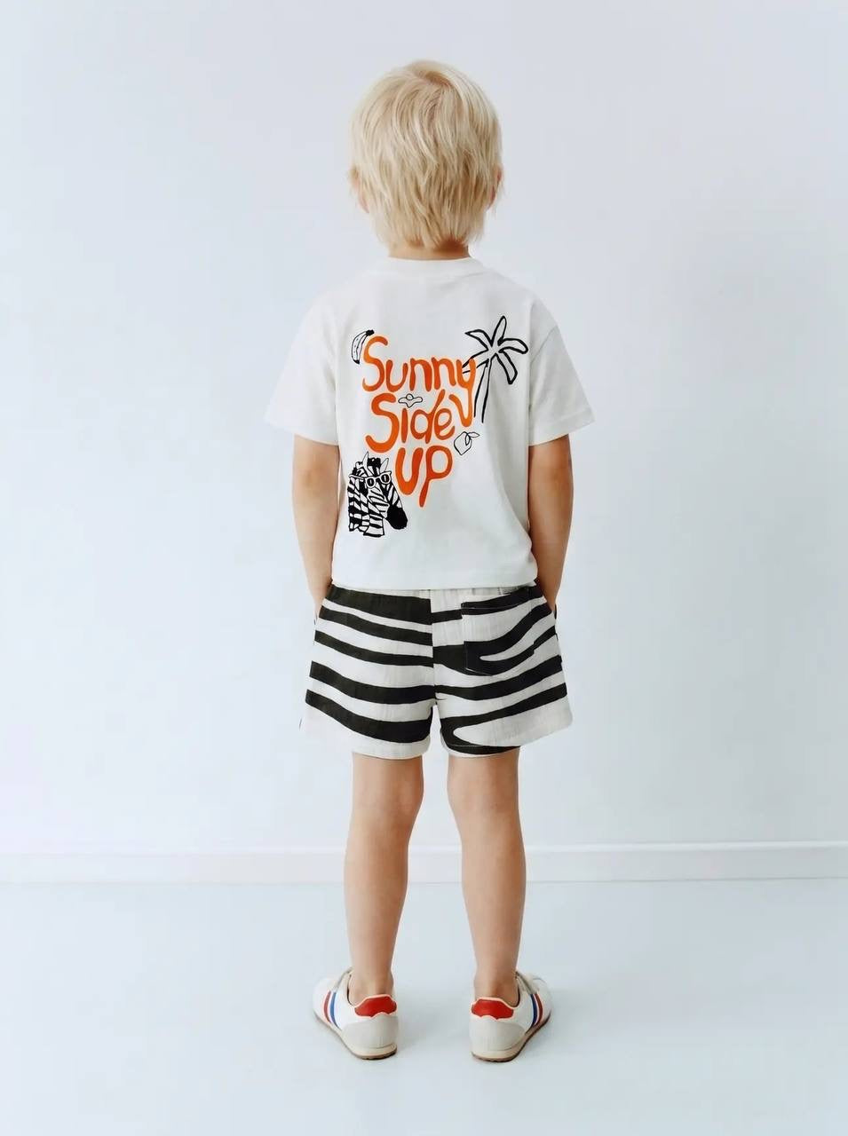 Sunny Safari Zebra Set