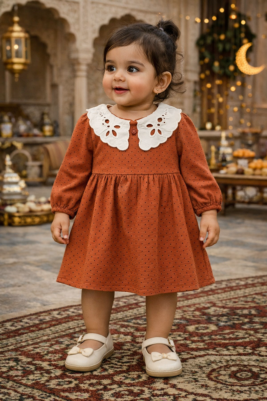 Brown Collared Dress