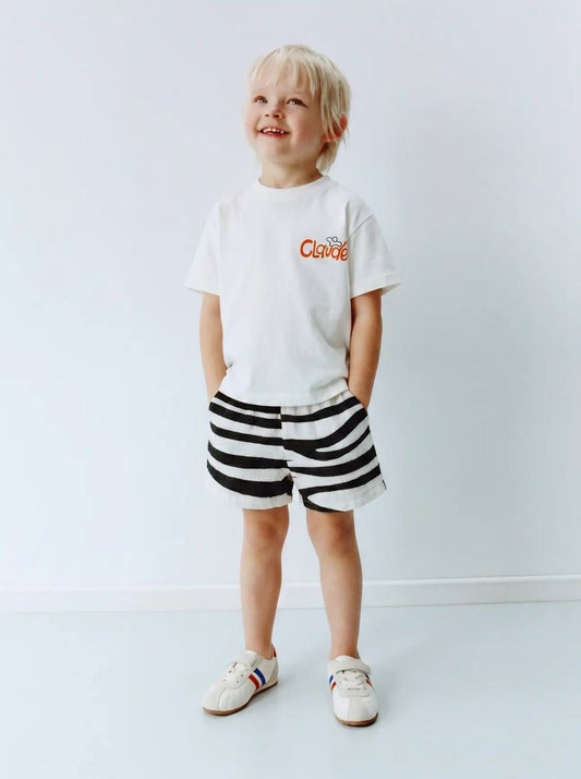 Sunny Safari Zebra Set