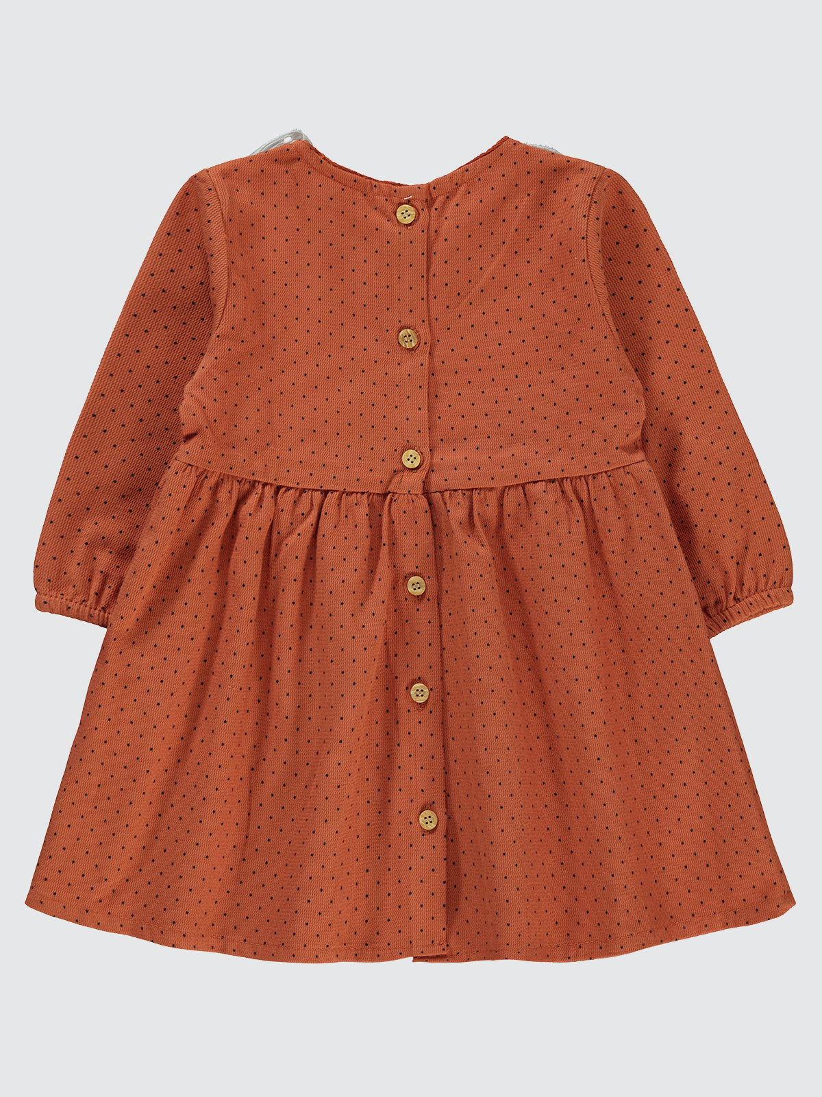 Brown Collared Dress