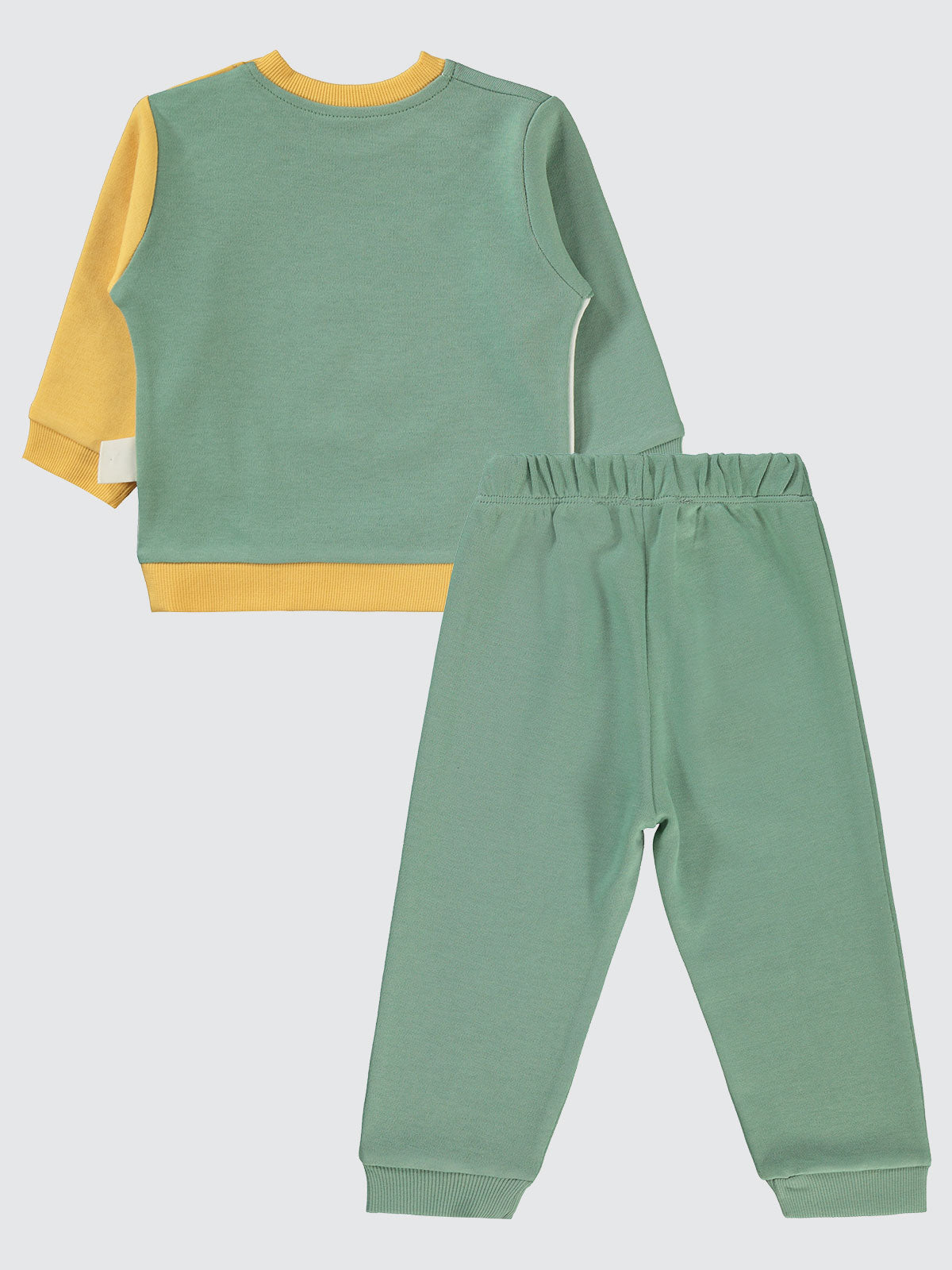 Multicolor Tiger Fall Set