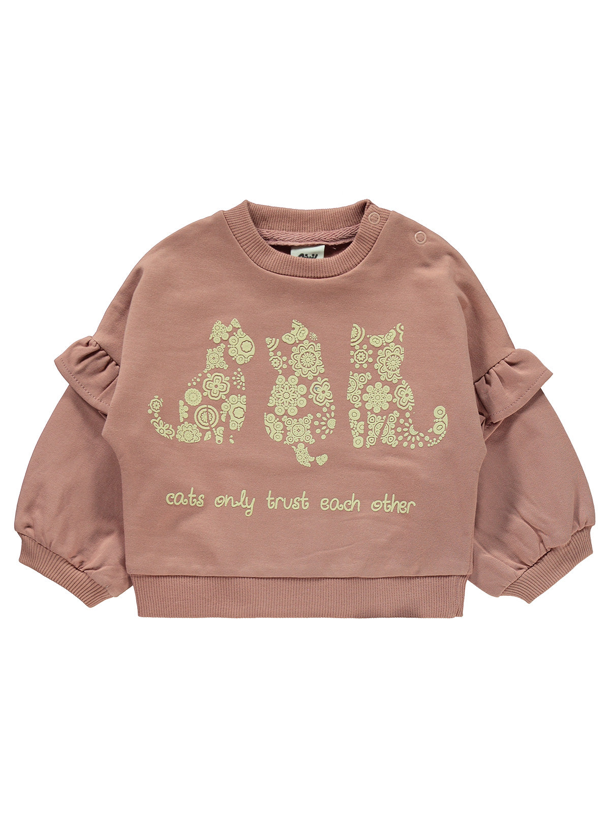 Cute Cats Set