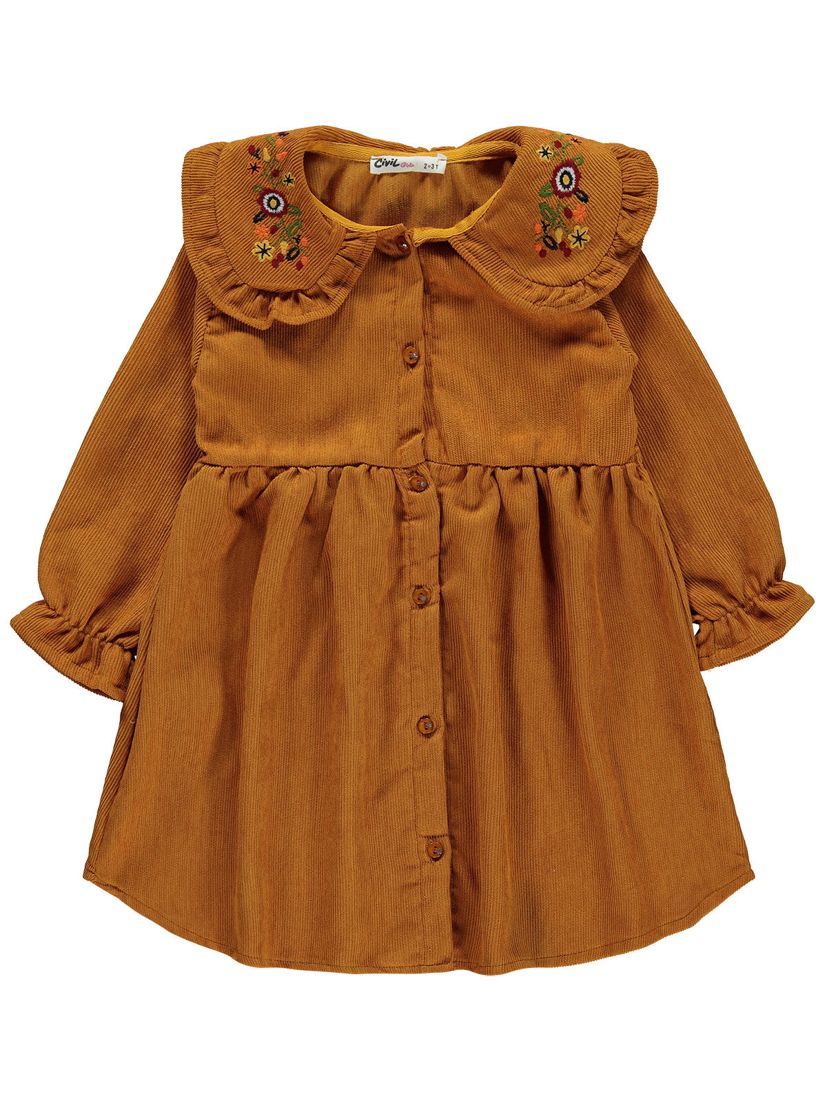 Embroidered Collar Dress