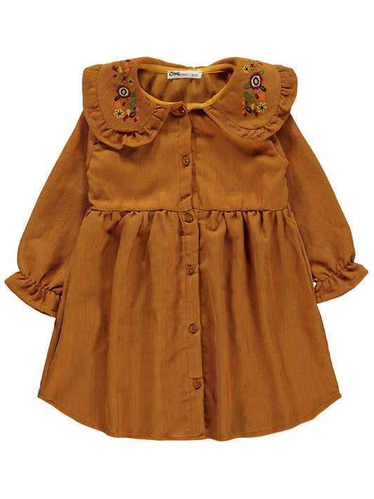 Embroidered Collar Dress