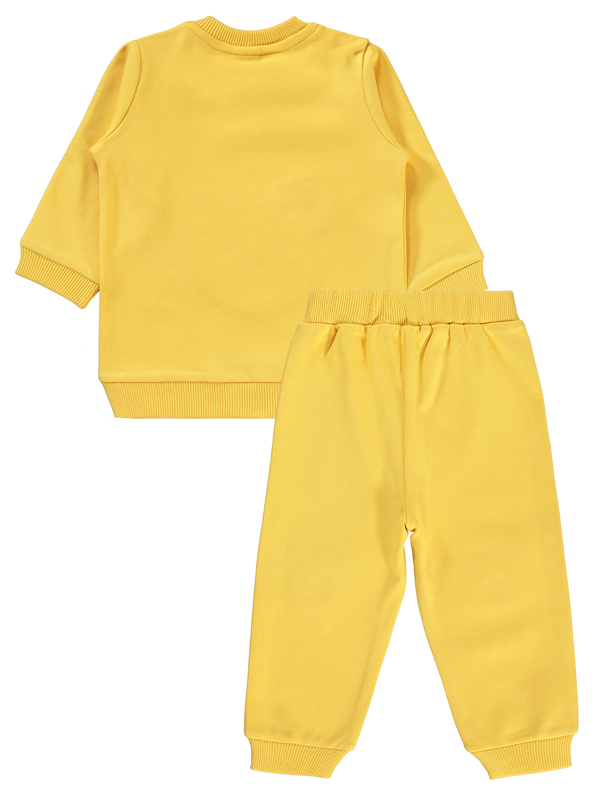 Yellow Bear Fall Set