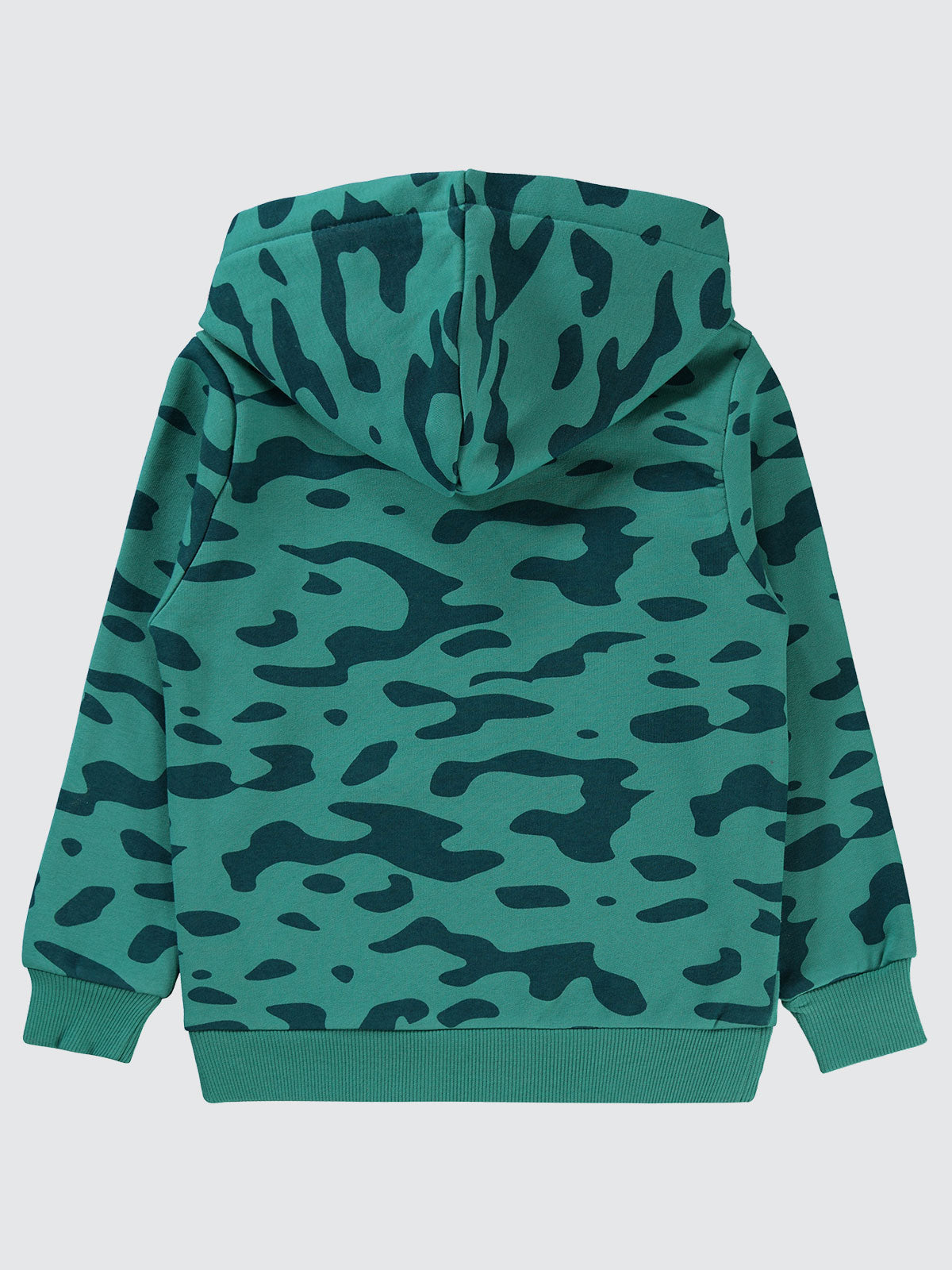 Winter Hoodie