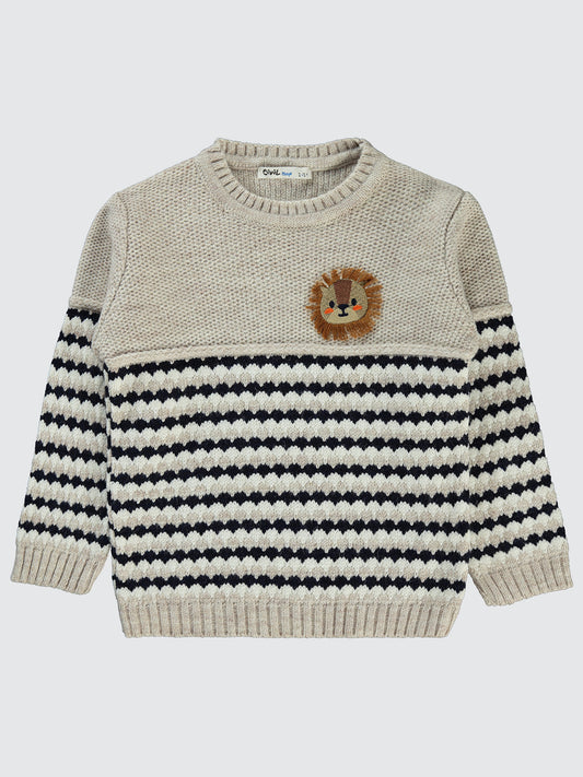 3D Lion sweater