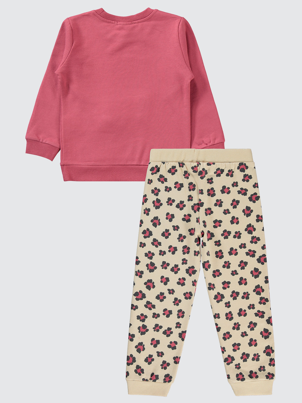 Cute Bear Set