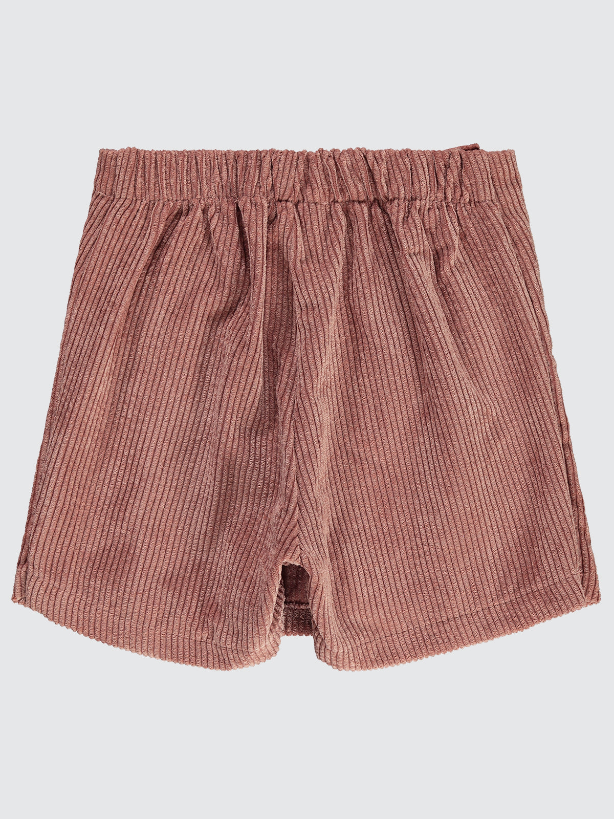 Velvet Shorts