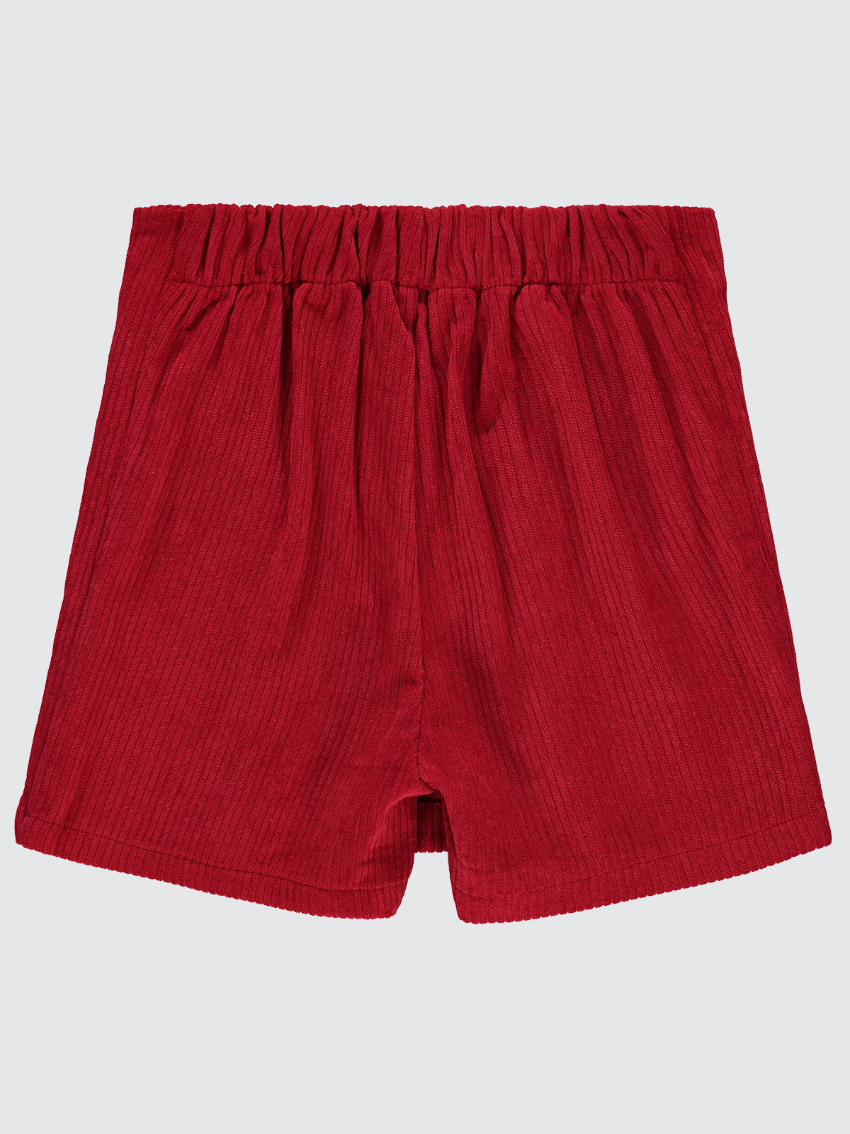 Velvet Shorts