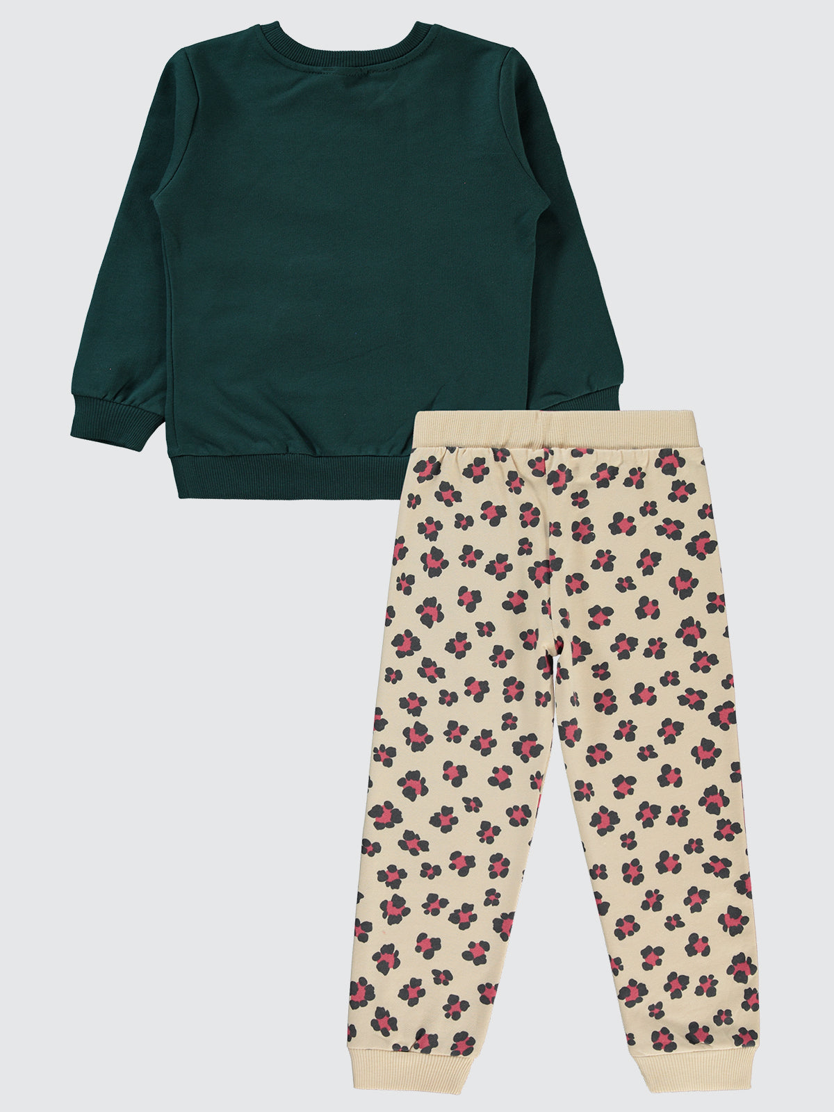 Cute Bear Set