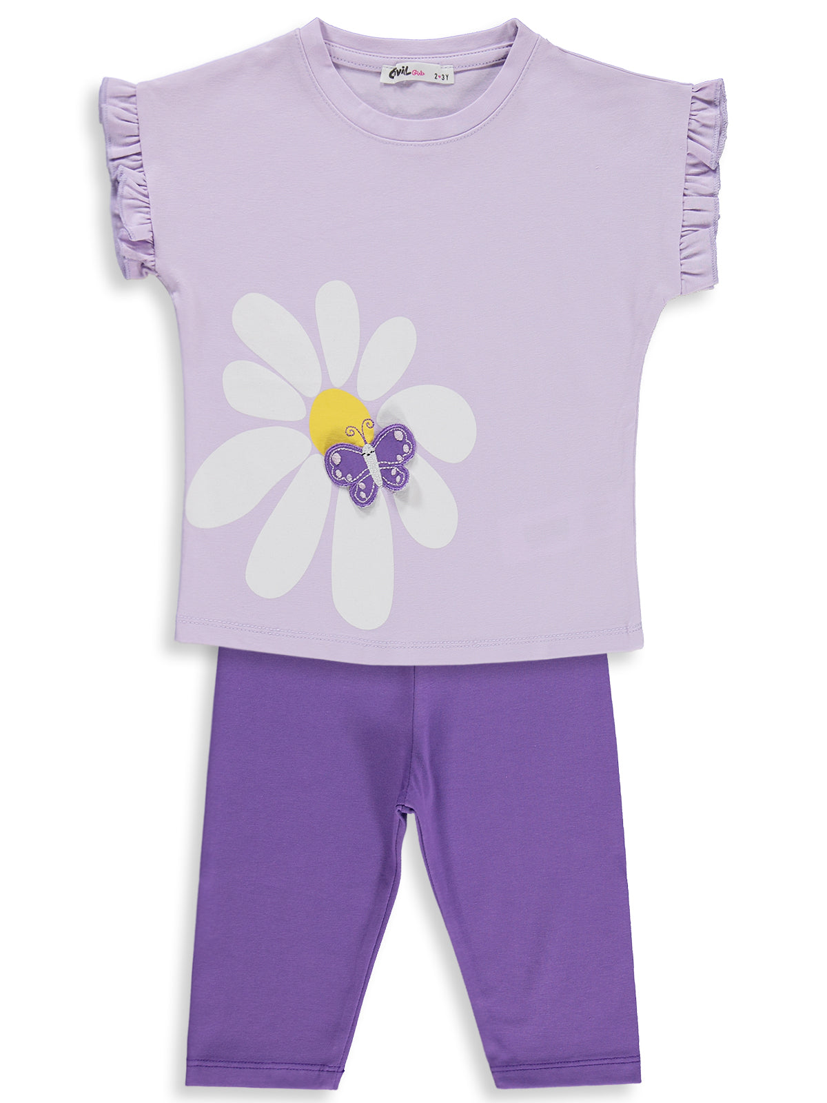 3D butterfly Set