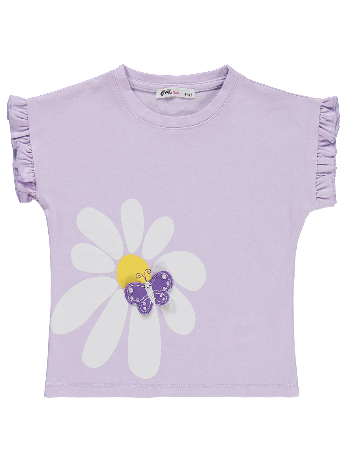 3D butterfly Set