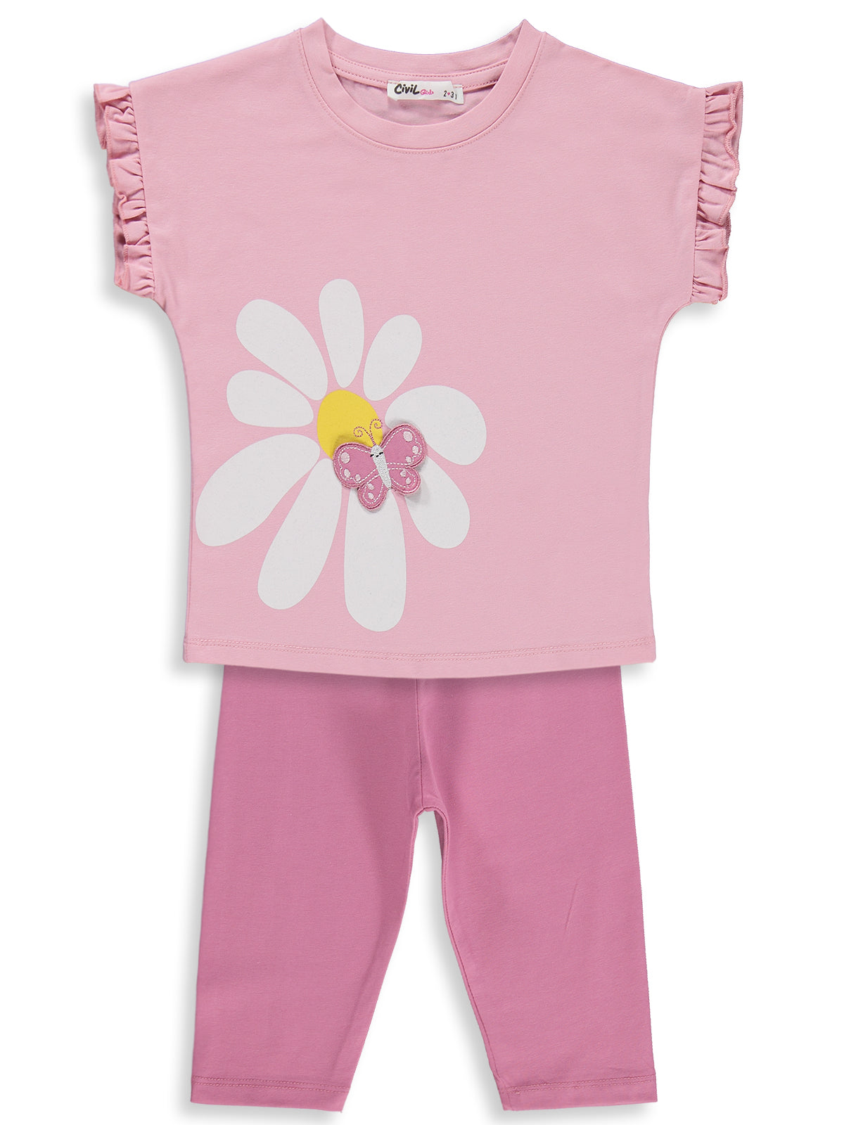 3D butterfly Set
