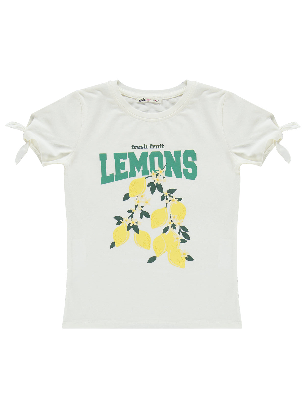 Lemons set 🍋