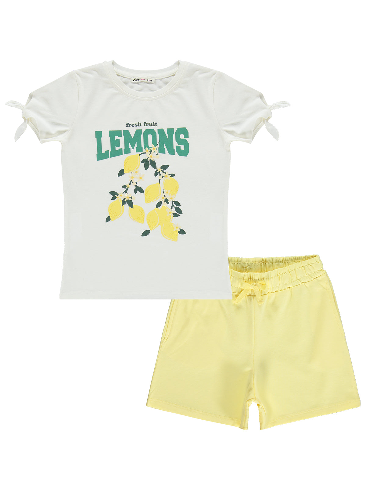 Lemons set 🍋