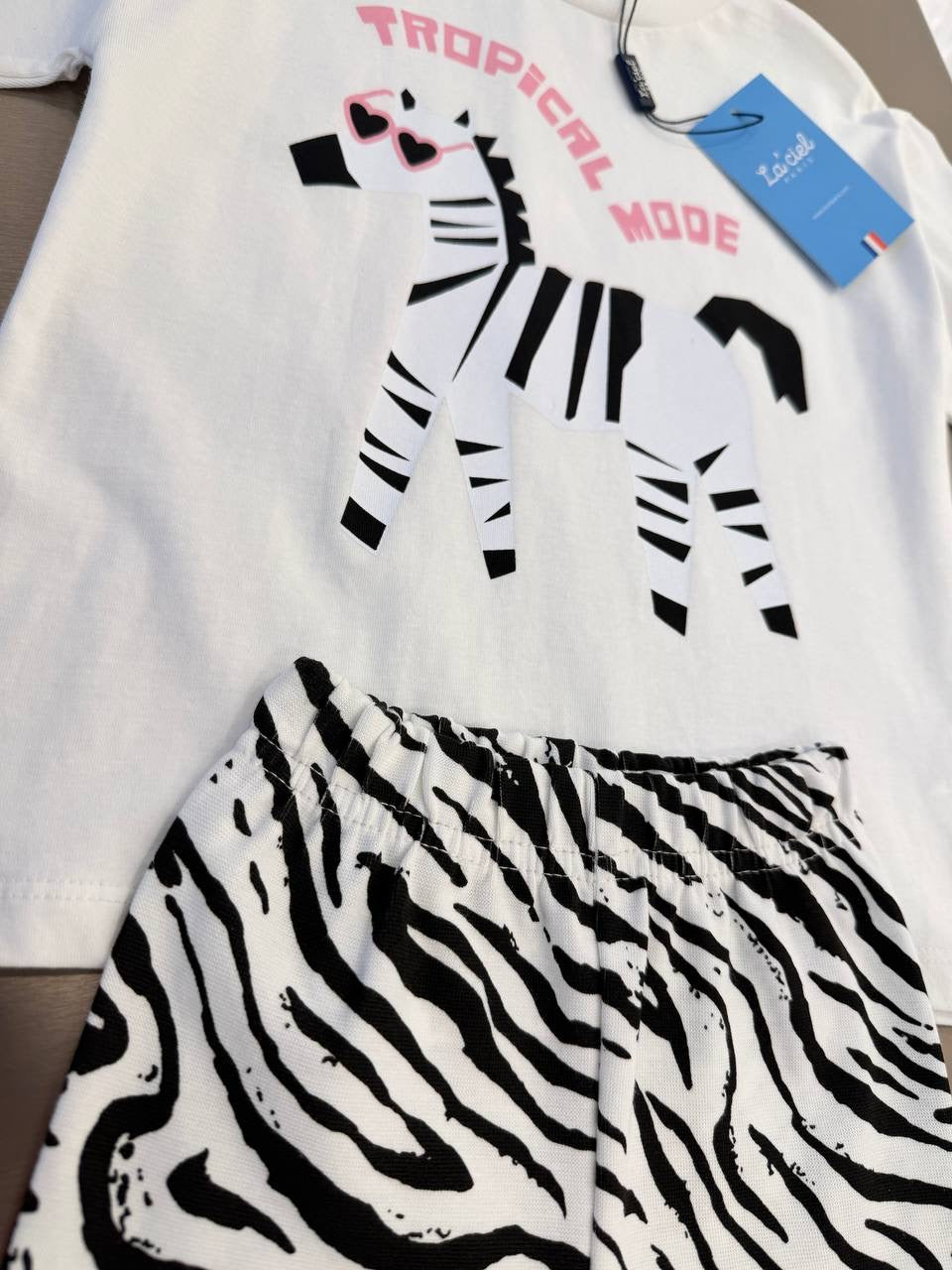 Tropical Zebra Biker Set
