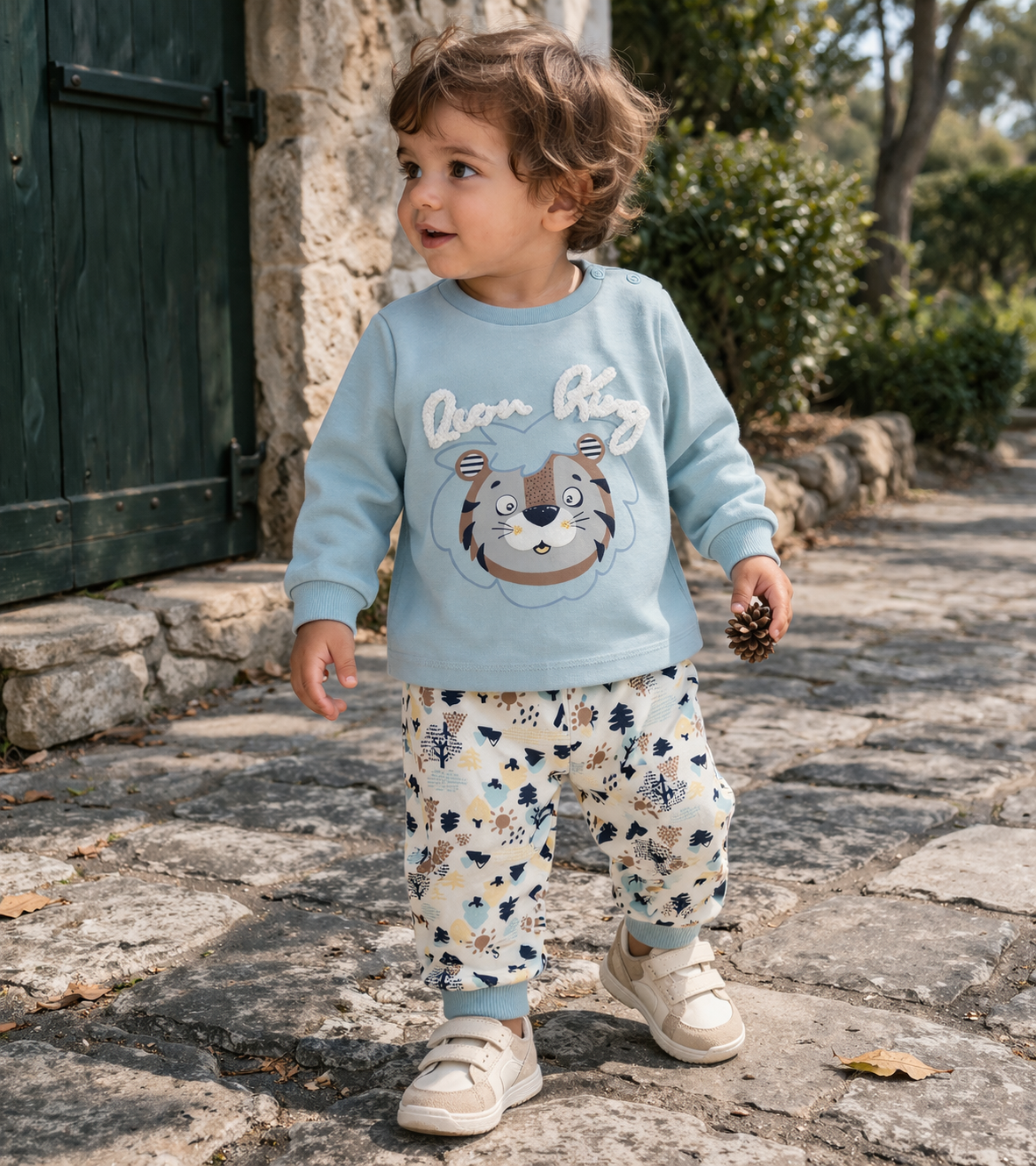 Blue Lion King Fall Set