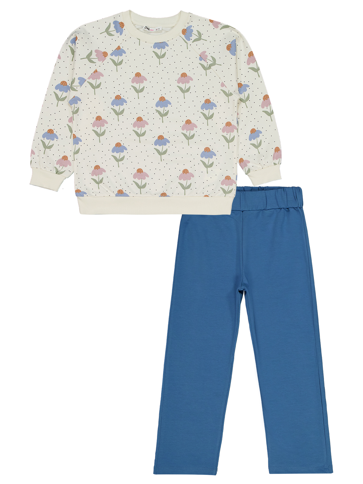 Blue Tulips Set