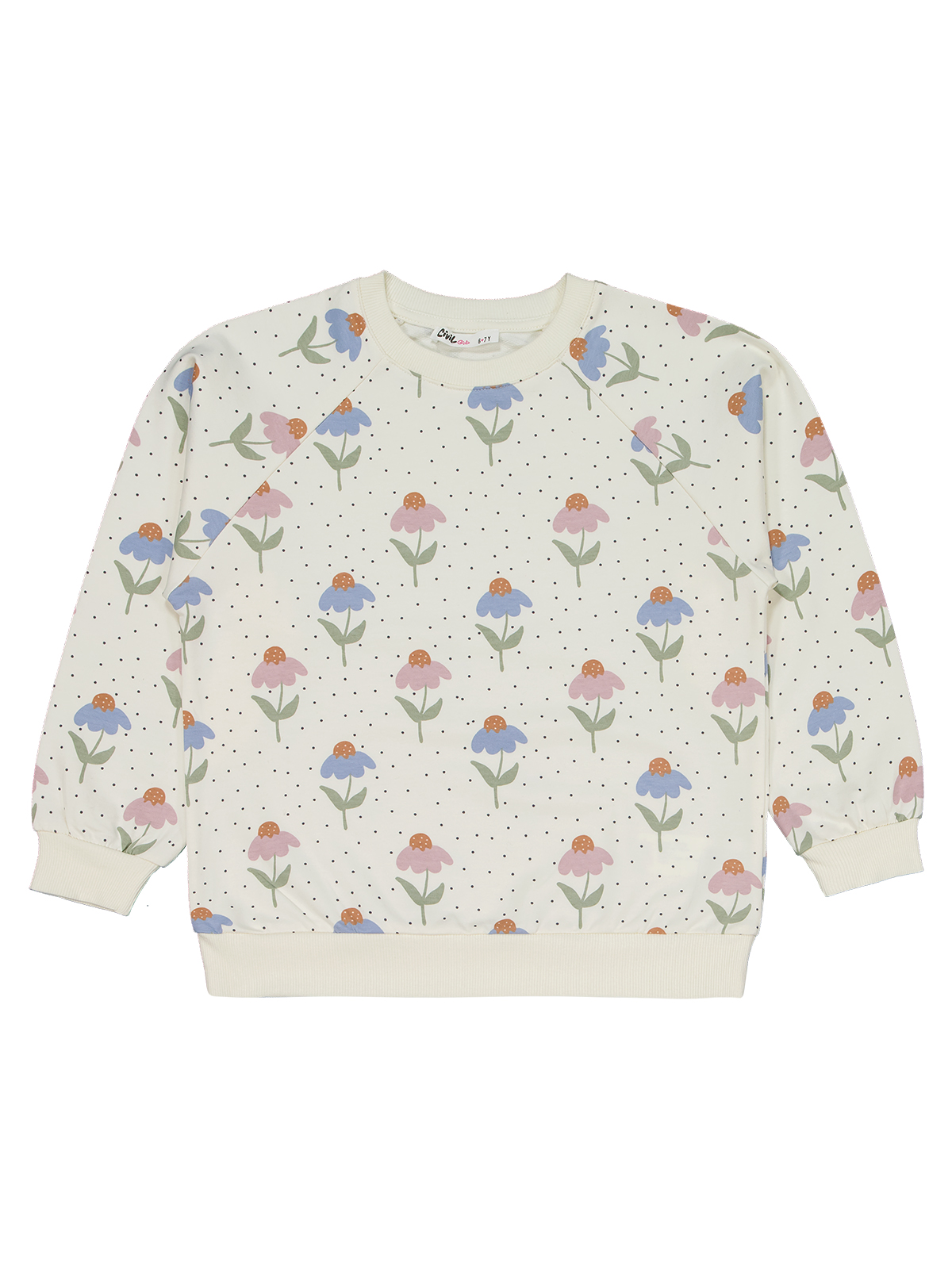 Blue Tulips Set
