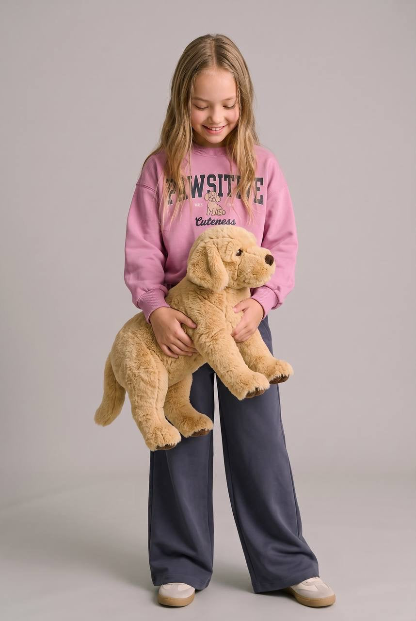 Pawsitive Set
