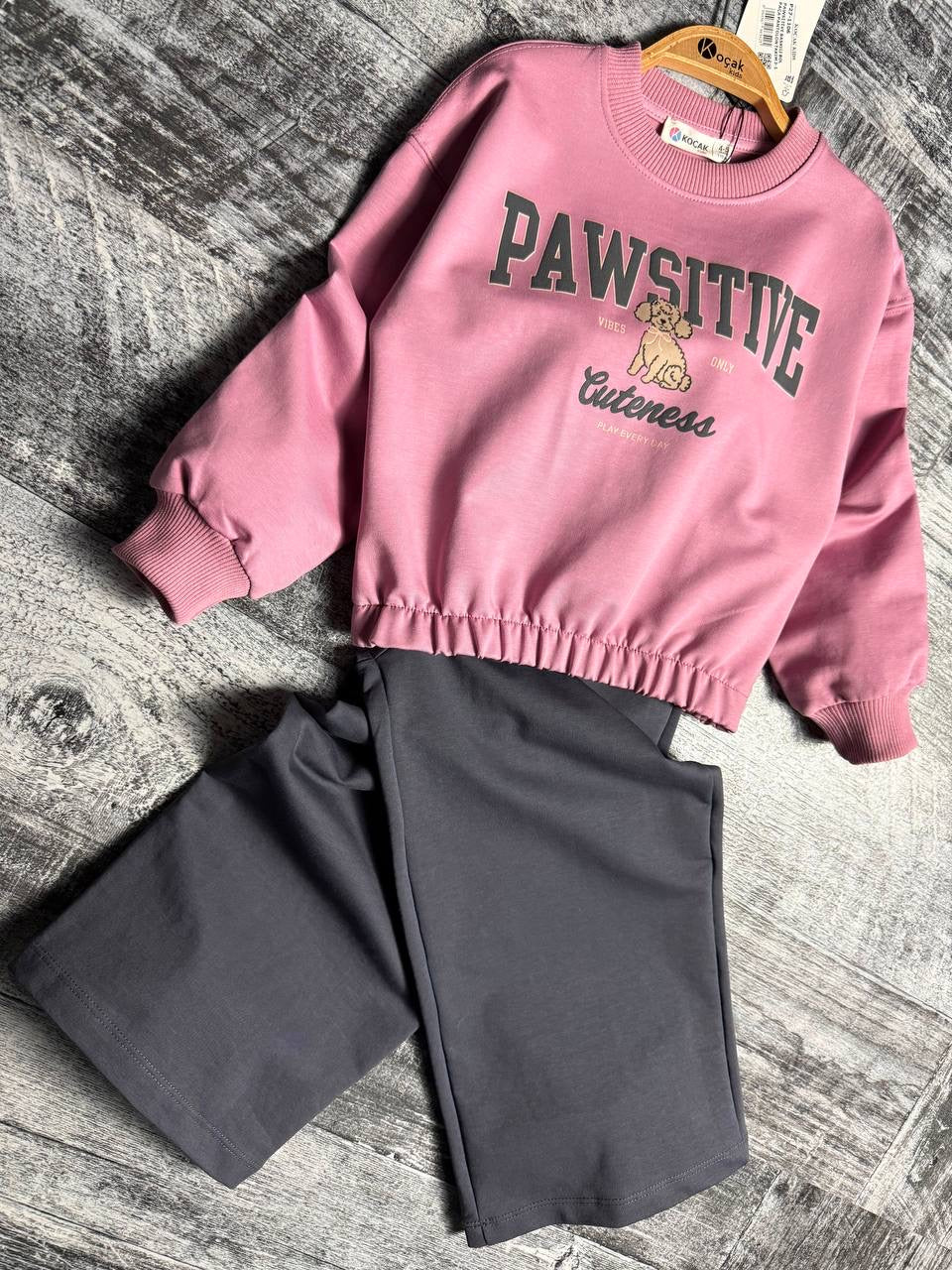 Pawsitive Set