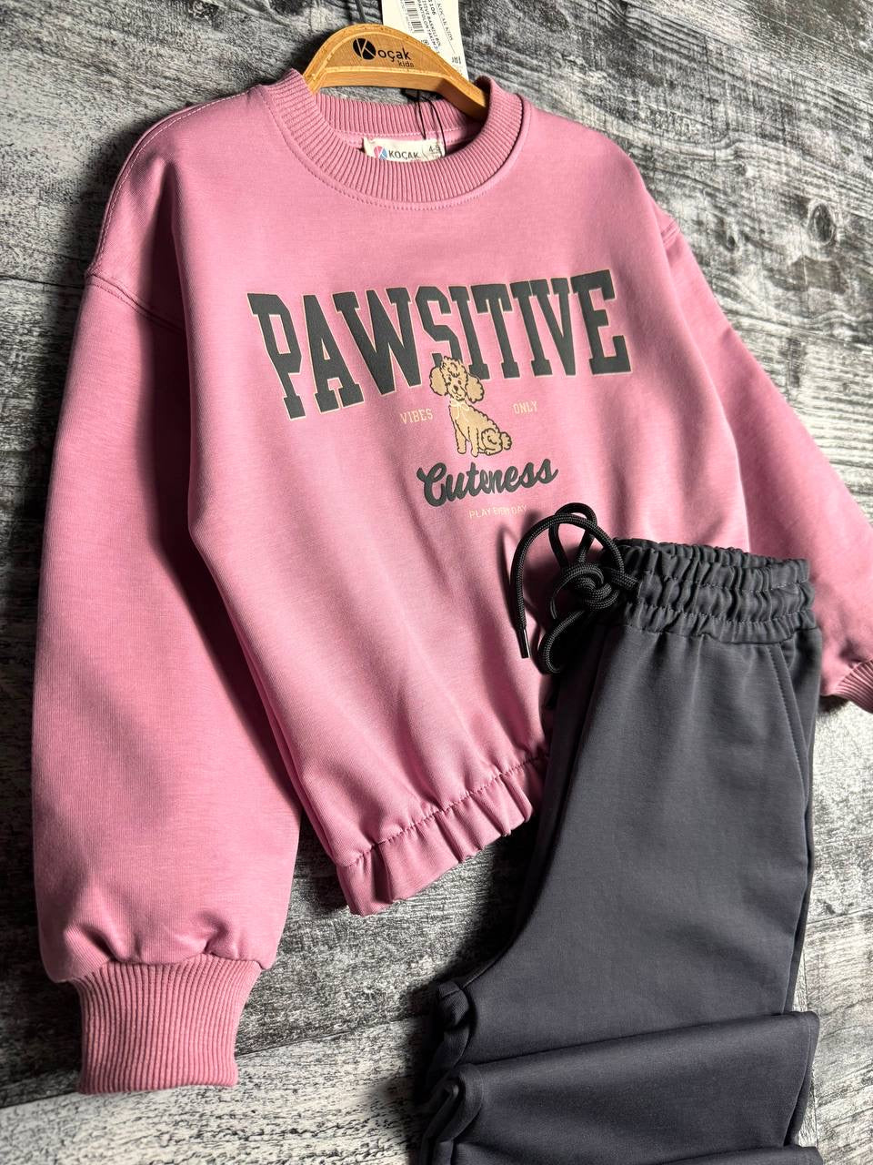 Pawsitive Set