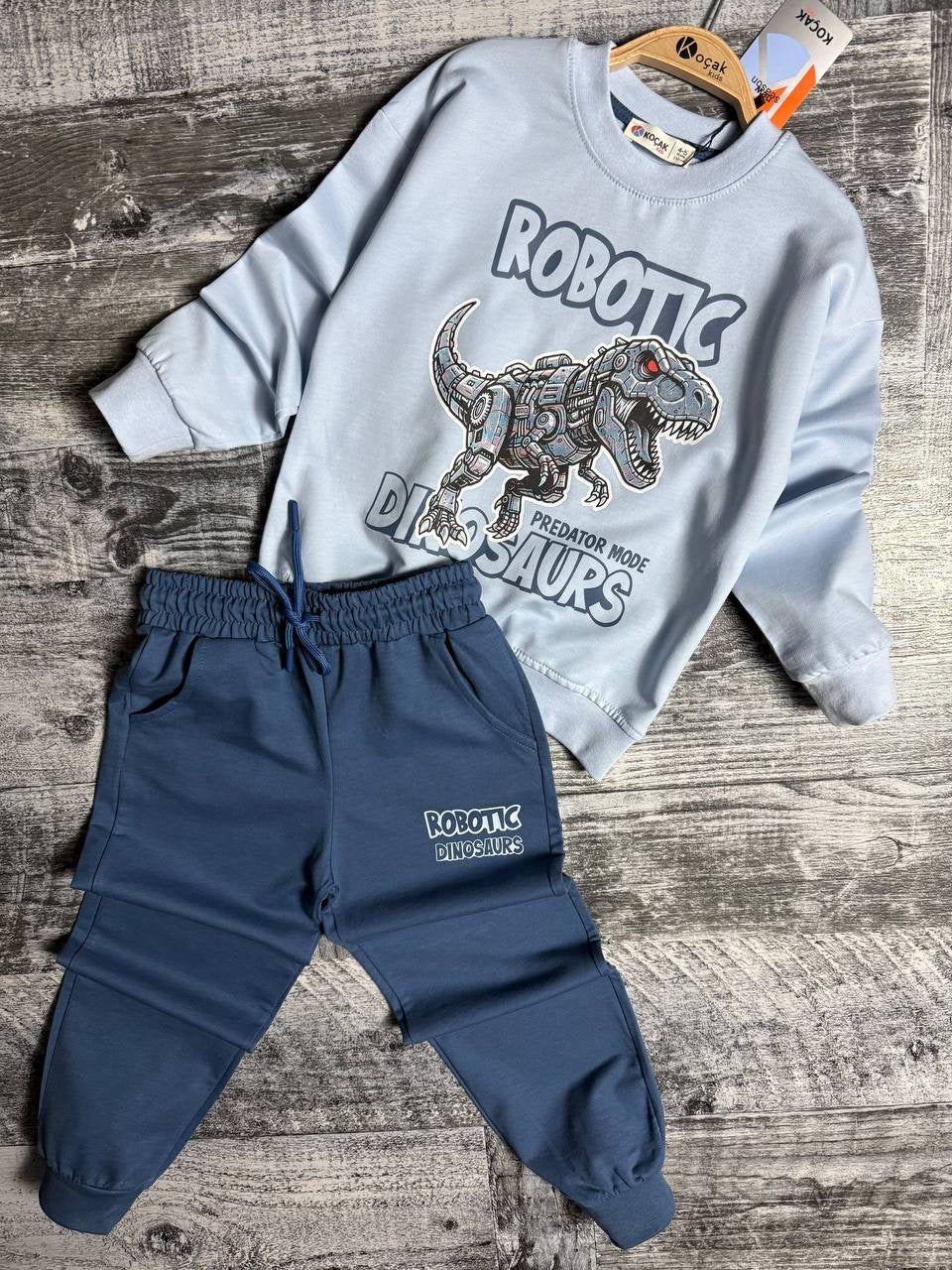 Robotic Dino Set