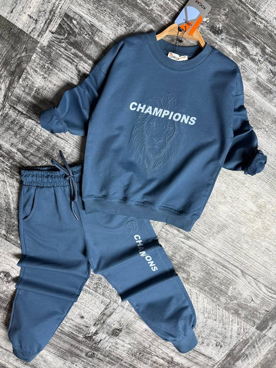 Champions Lion Basic Blue Set