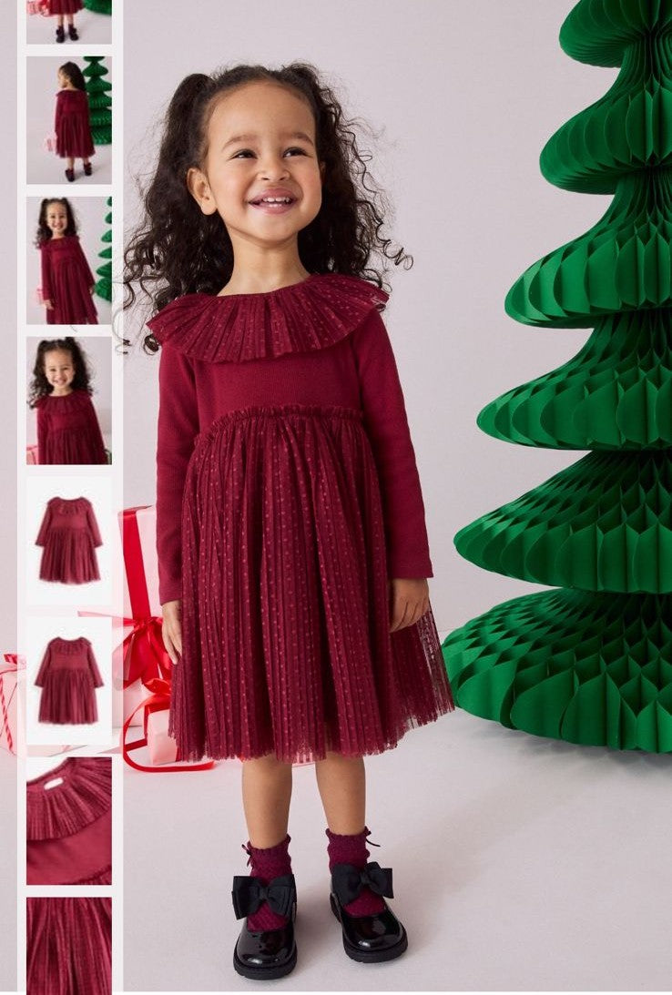 🌸 Ruffle Yoke Sparkle Tulle Party Dress | Original Next